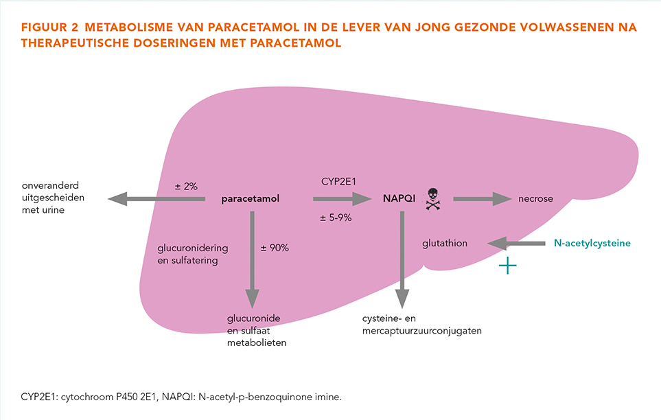 hoeveel tijd tussen ibuprofen en alcohol